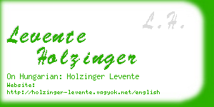 levente holzinger business card